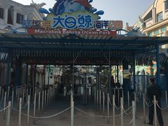 -芜湖新华联大白鲸海洋公园