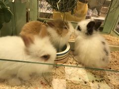 -龙猫仔乐园(惠福东路店)