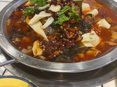 -晓彭肥肠鸡·泡椒鸡火锅(水木天地店)