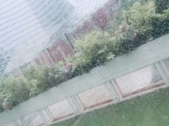 -花之城