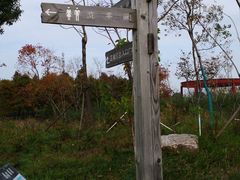 -春花秋色城市公园