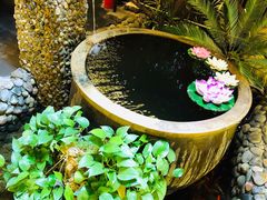 -三道苗苗鱼·美蛙黄辣丁(八里店)