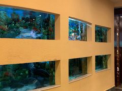-麒麟中餐厅·经典粤菜·地道菜式老字号(广州长隆酒店)