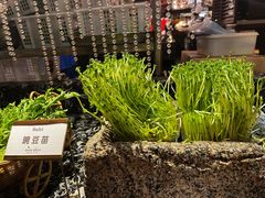 -芭菲盛宴·环球美食(解放碑英利国际店)