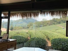 -优游吧斯邹族文化部落