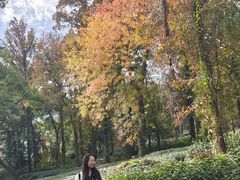 -野蔓果·山野菜(西湖景区·龙井茶田店)