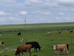 -北极村旅游风景区