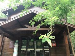 -合肥滨湖国家森林公园