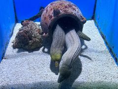 -大连老虎滩海洋公园