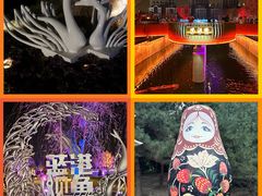 -朝阳公园