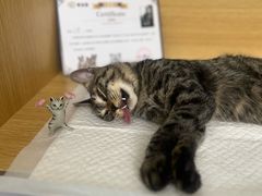 -美迦爱-牙专科·兔科·骨科诊疗中心(北苑店)