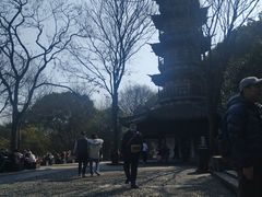 -上海佘山国家森林公园西佘山园