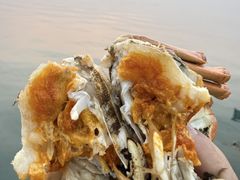 -品鲜村农家菜·阳澄湖大闸蟹(总店)