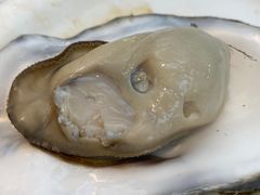 -半岛听涛蒸汽海鲜自助(K11店)
