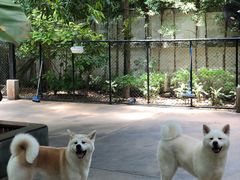 -TrueLove @ Neverland (Husky Cafe)