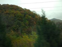 -青峰峡国家森林公园