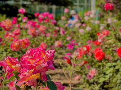 -国家植物园南园