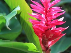 -阿瓦尼河滨曼谷酒店