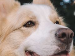 -豆舞咖啡(民乐路店)