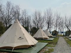 -南湖湿地公园