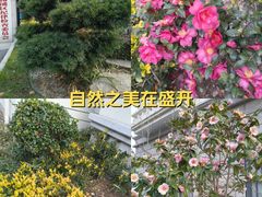 -上海市控江中学