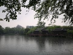 -棠湖公园