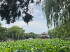 -莲池书院博物馆