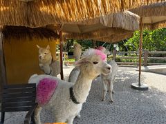 -珠海海泉湾神秘岛亲子乐园