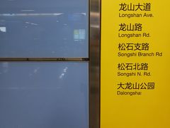 -大龙山(地铁站)