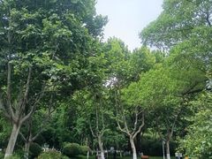 -楚秀园