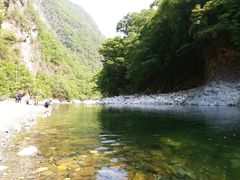 -黑河国家森林公园