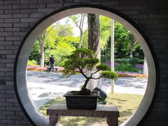 -泰州凤城河风景区-泰山公园