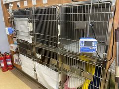 -瑞派·关忠动物医院·异宠专科·犬猫肿瘤·皮肤专科(望京店)