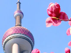 -东方明珠广播电视塔