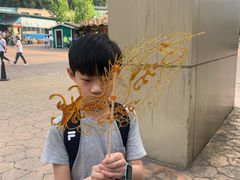 -梦幻奥陶纪景区