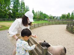 -前小桔亲子创意农场·草莓采摘·露营烧烤