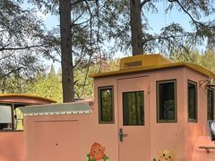 -黄海国家森林公园