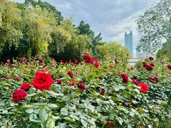 -人民公园(罗湖区)