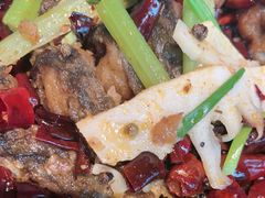 -老板恋上鱼(恒隆广场店)