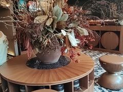-野人部落(沈阳一店)
