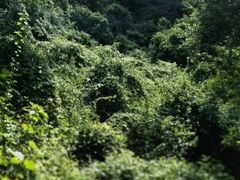 -剑门关风景区