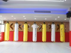 沙袋-津武堂散打搏击俱乐部(河西店)