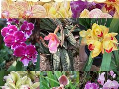 -国家植物园南园