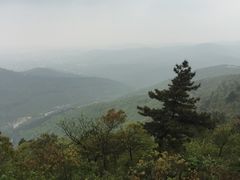 -雨花胜境