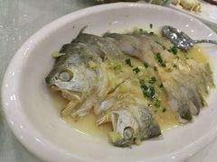 黄花鱼-绿丰园农家菜(南北大厦店)