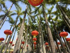 -深圳国际园林花卉博览园