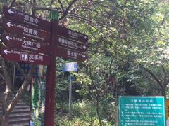 -东莞市大岭山森林公园