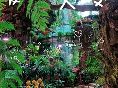 -正佳雨林生态植物园