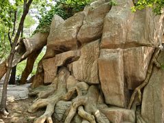 -燕窝岭