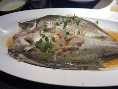 -鲁菜根·泰安菜(万达店)